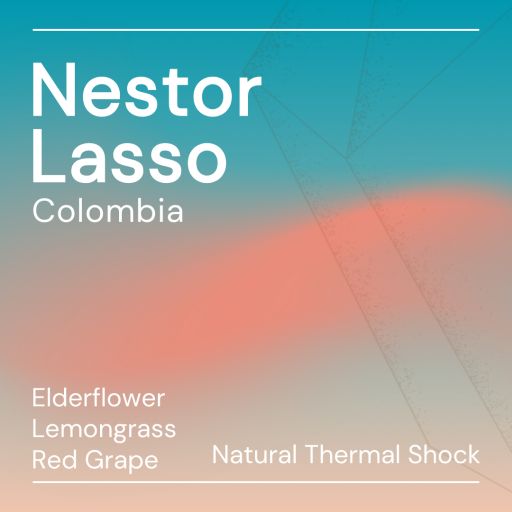Nestor Lasso