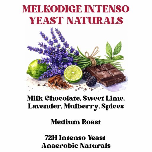 Melkodige Intenso Yeast Naturals Medium Roast (SCA 86+)