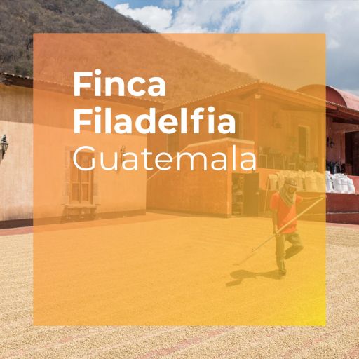 Finca Filadelfia