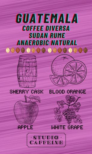 กาแฟกัวเตมาลา Diversa Sudan Rume แบบไม่ใช้ออกซิเจน Natural