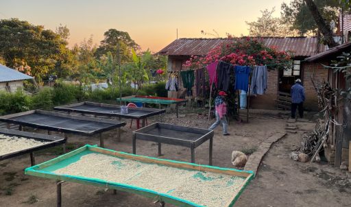 Guadalupe Miramar Mexico