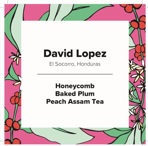 David Lopez | Honduras | Pacas