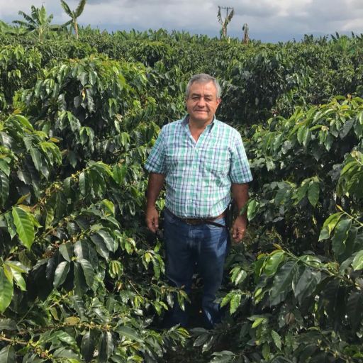 Colombia Jairo Arcila【Banana】