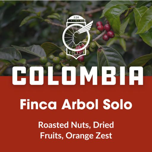 Colombia Finca Arbol Solo
