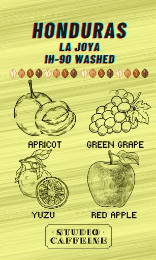 Honduras La Joya IH-90 Washed