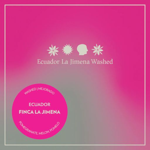 Ecuador - Finca La Jimena - Washed Typica Mejorado