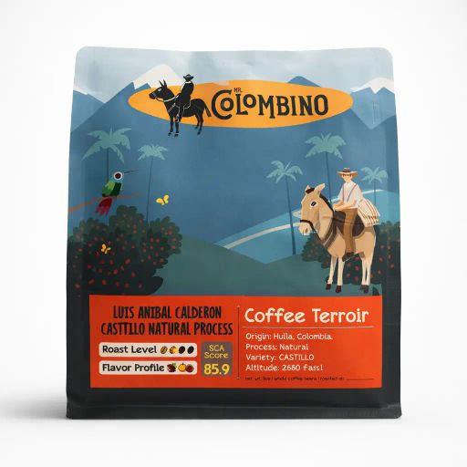 Luis Anibal Calderon Castillo Natural Process