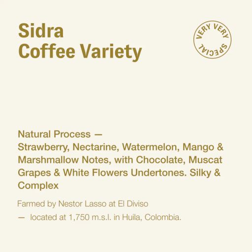Sidra Coffee Variety, Nestor Lasso, Colombia