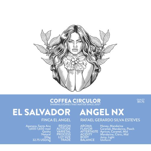 El Salvador Angel Geisha Natural NX