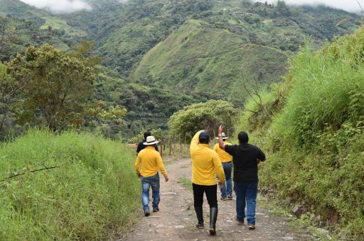 Decaffeinated Tablon de Gomez, Colombia