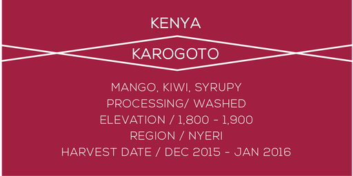 Kenya Karogoto