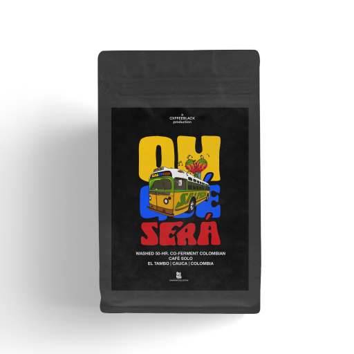 Oh Que Sera: 120hr indigenous fruit co-ferment castillo (honey, soursop, lulo)