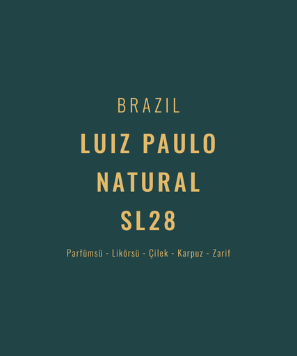 Brazil – Luiz Paulo SL28 Natural