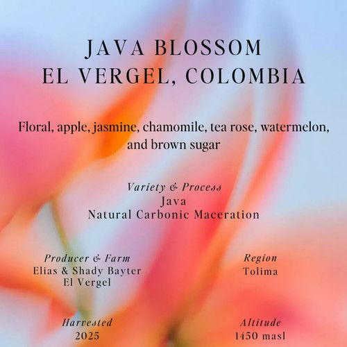 Java, Natural CM, El Vergel, Colombia