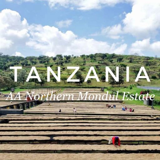 Tanzania AA Northern Mondul Estate