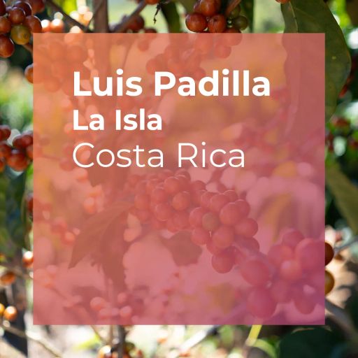 Luis Padilla, La Isla Catiguá