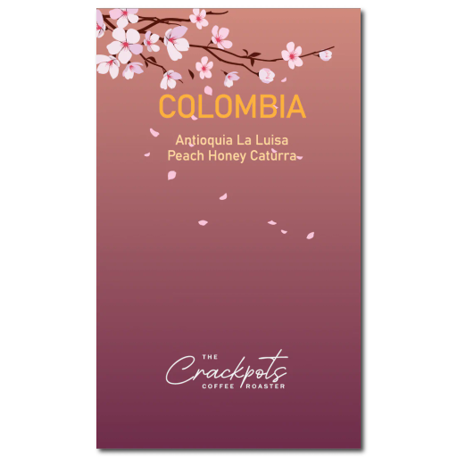 Colombia Antioquia Finca La Luisa Peach Fruit Honey Caturra