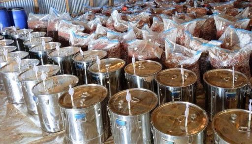 Ethiopia Worka Gr1 Anaerobic Natural