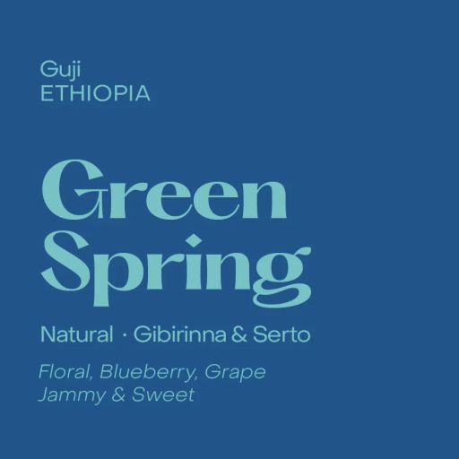 Ethiopia Green Spring Espresso, Natural Gibirinna & Serto