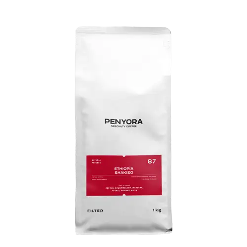 Ethiopia Shakiso Filter