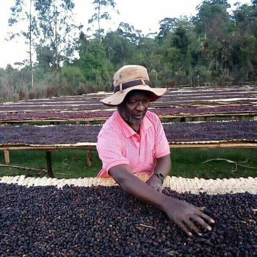 Ethiopia Halo #19 Birhanu Dido 2023