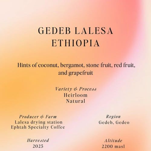 Gedeb Lalesa