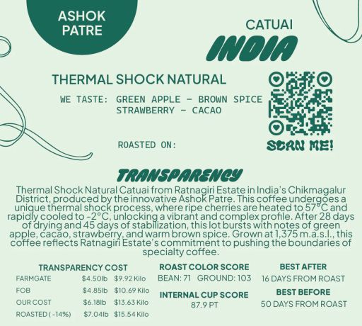 India Catuai Thermal Shock Natural