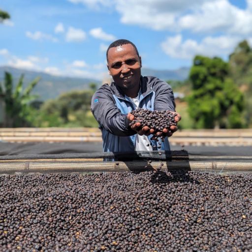 Ethiopia - Basha Bekele - Anaerobic Natural 56hrs