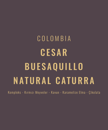 Colombia – Cesar Buesaquillo Natural Caturra