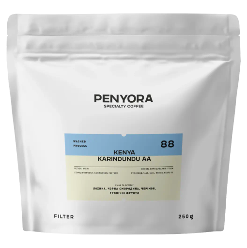 Kenya Karindundu AA Filter